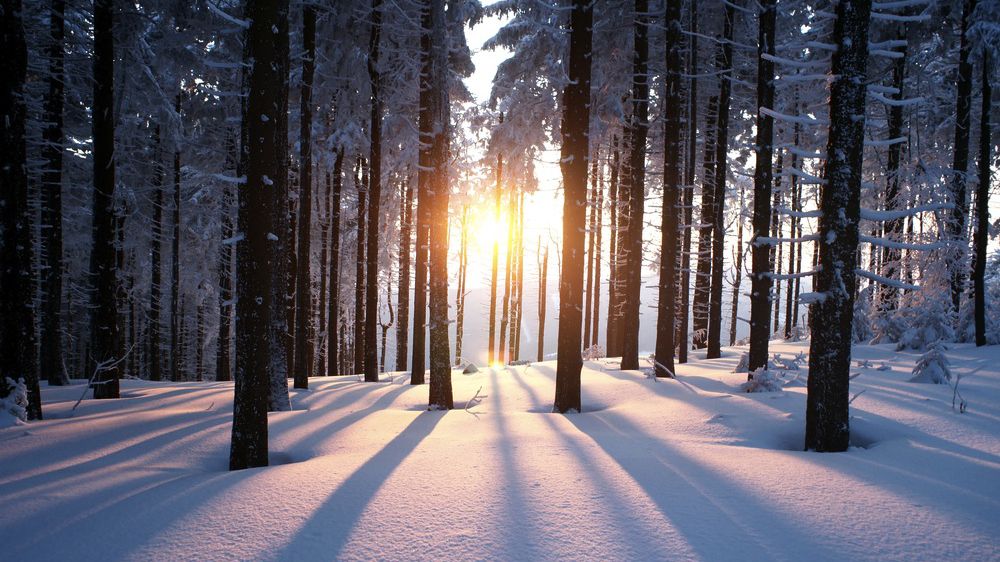 Danish Tips for the Cold