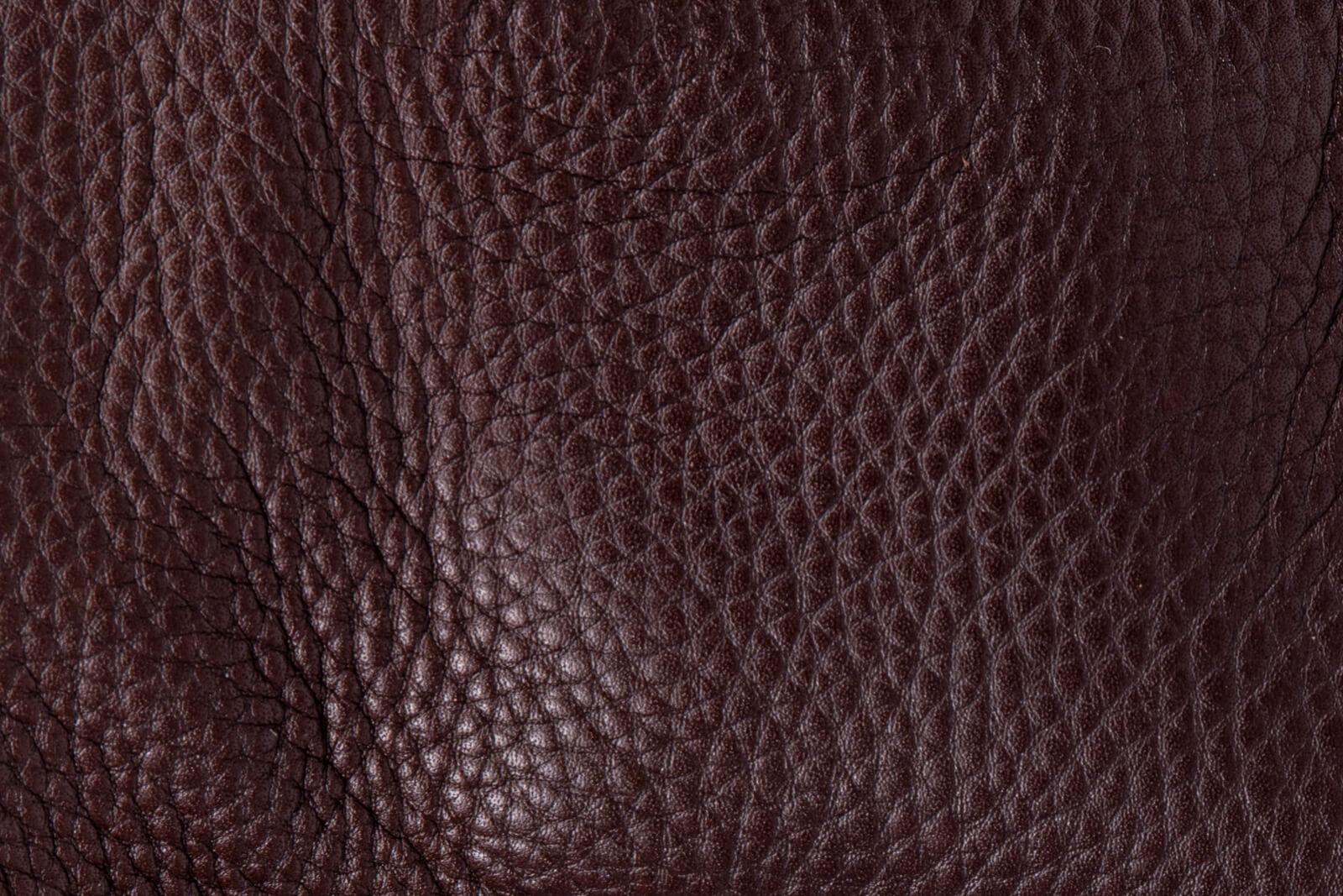 Fredericia Chocolate