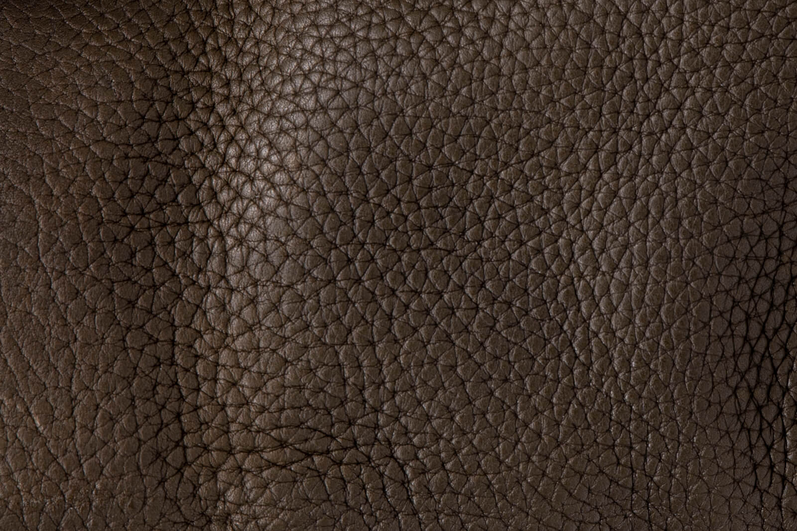 Fredericia Olive