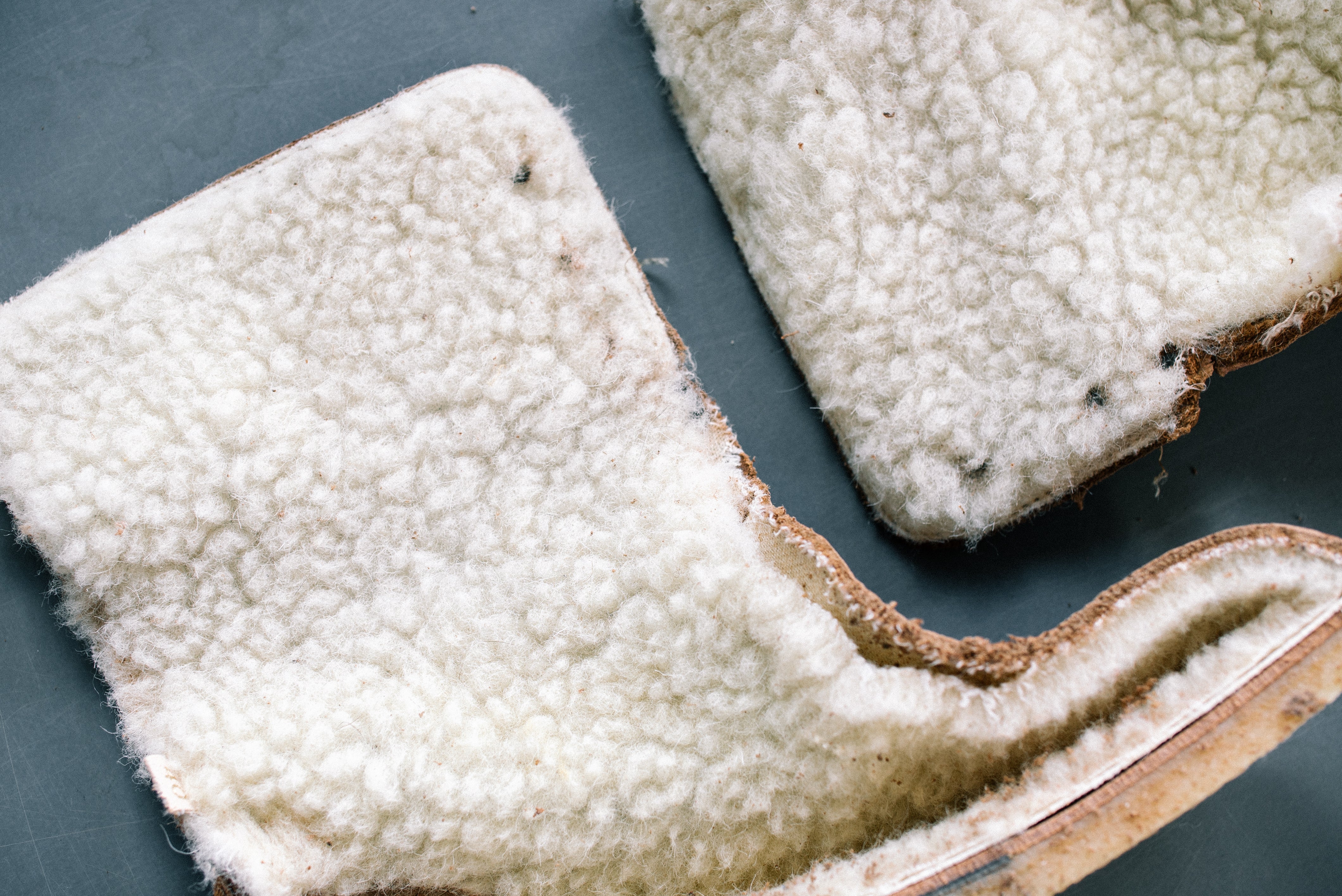 4 Reasons We Love Wool