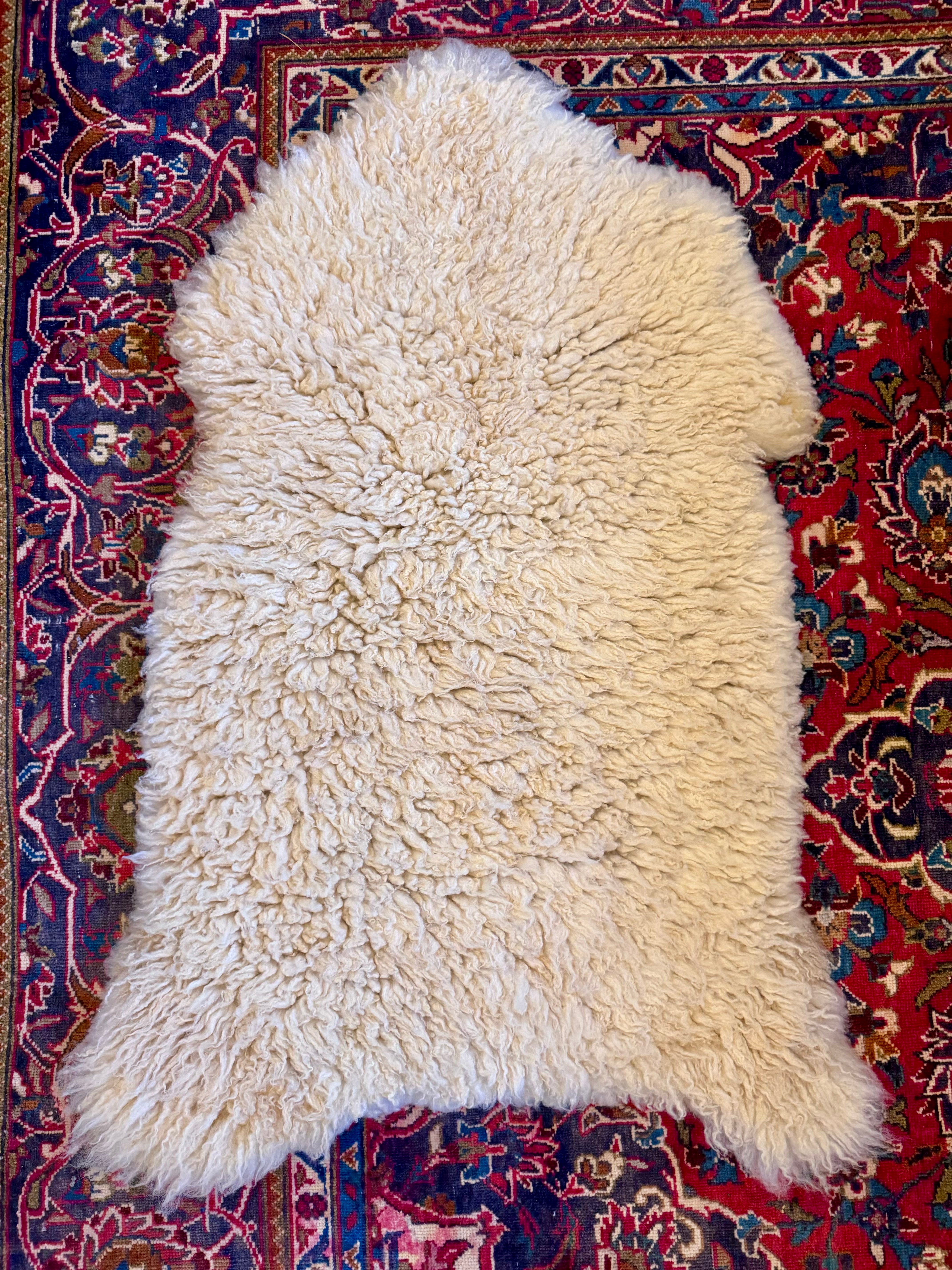 Tunis Pelts