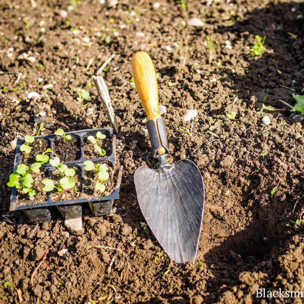 Hand Forged Garden Trowel