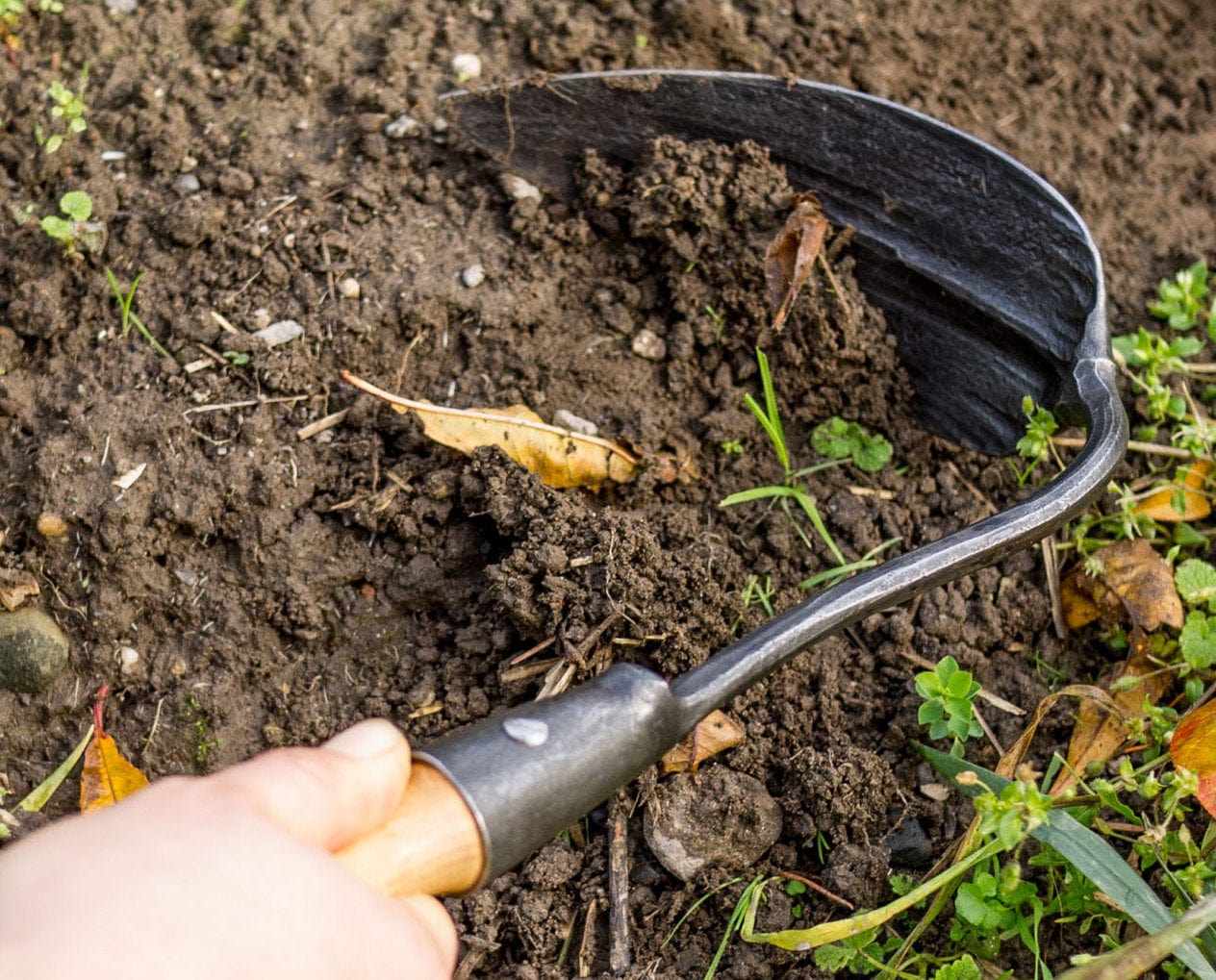 Korean Hand Plow: Weeding and Transplanting